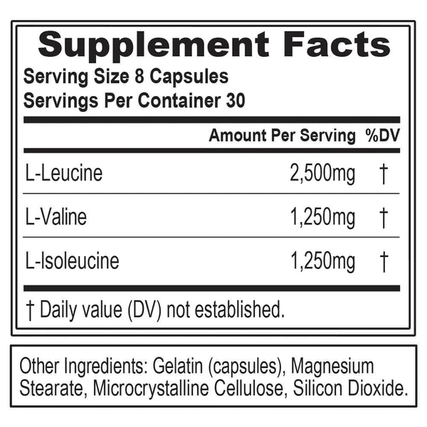 بی سی ای ای 5000 ای وی ال ناتریشن امریکا | Evlution Nutrition Bcaa 5000 | bbsupp