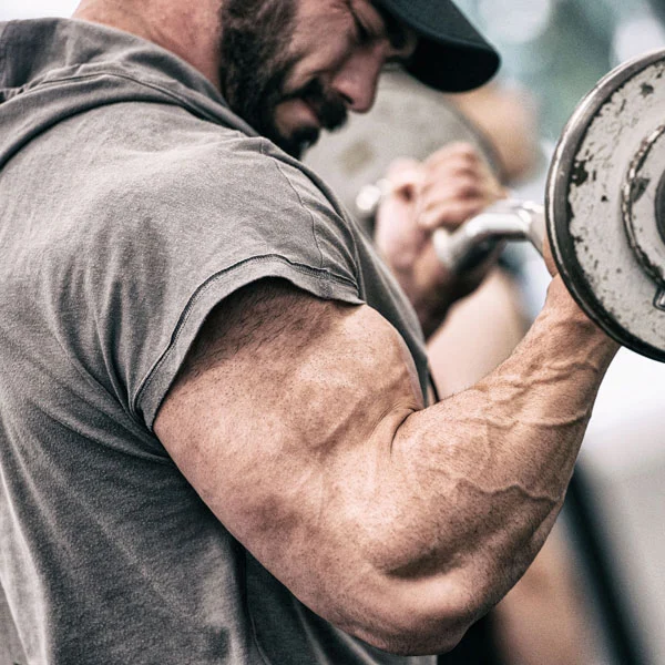 MuscleTech Cell-Tech Creatine